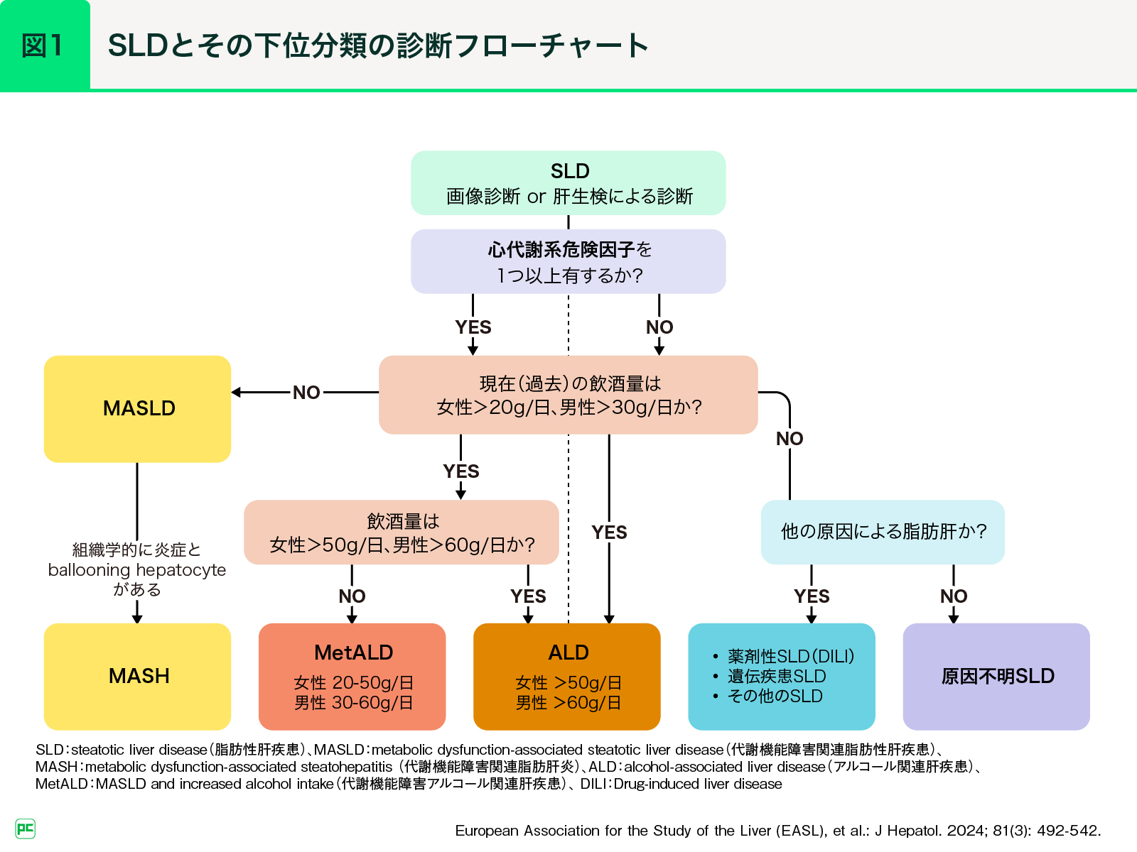 MASLD/MASH診療の最前線 第1回 疾患概念のアップデートと代謝疾患との