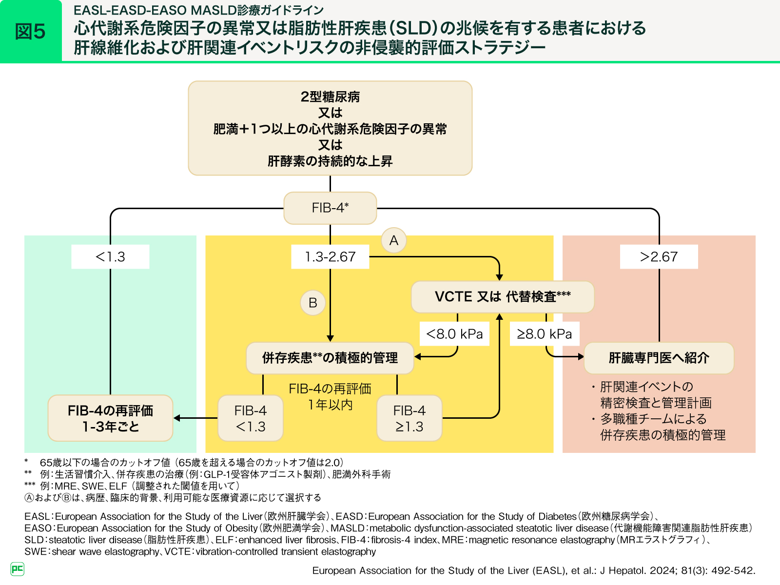 MASLD/MASH診療の最前線 第1回 疾患概念のアップデートと代謝疾患との