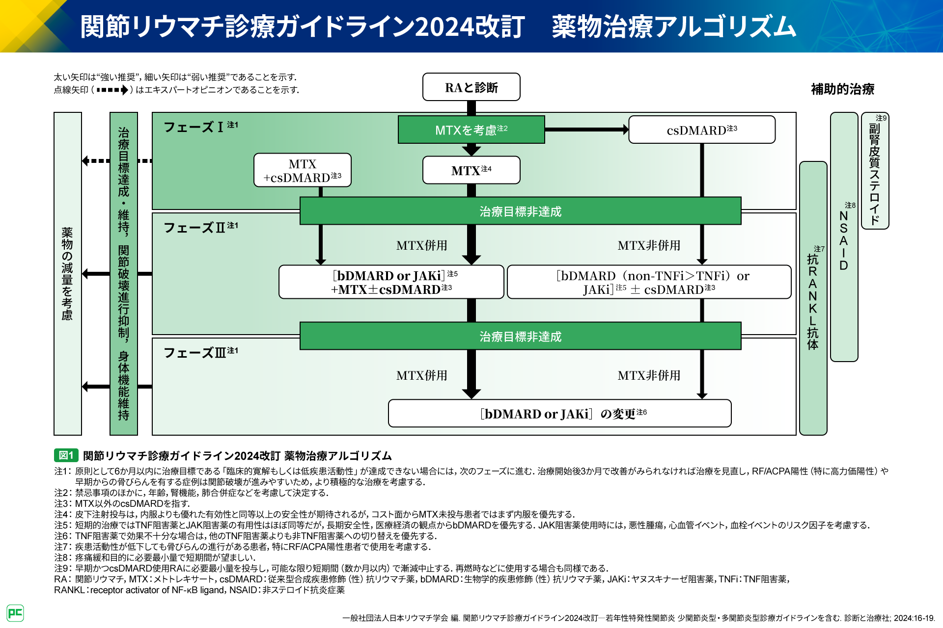 関節リウマチ診療における間質性肺疾患治療の重要性（静止画）