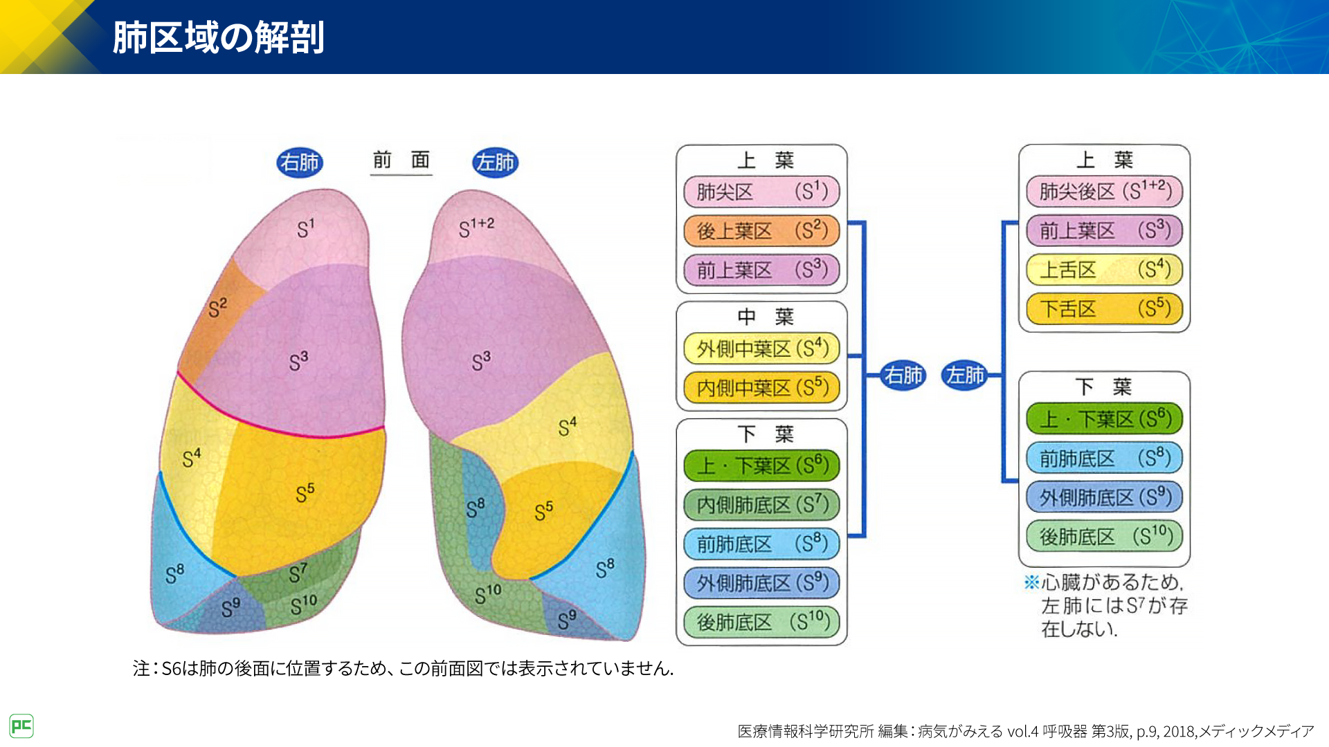 呼吸器疾患診療における胸部HRCT画像読影のポイント（静止画）｜べーリンガープラス