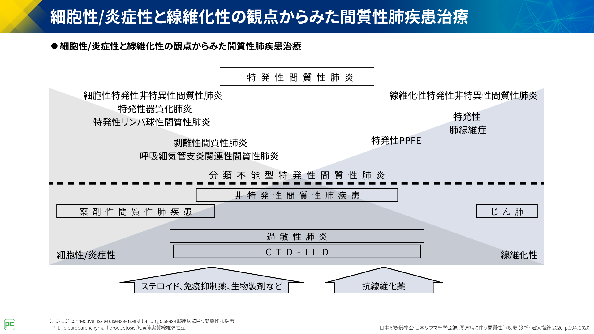 呼吸器疾患診療における胸部HRCT画像読影のポイント（静止画）｜べー 