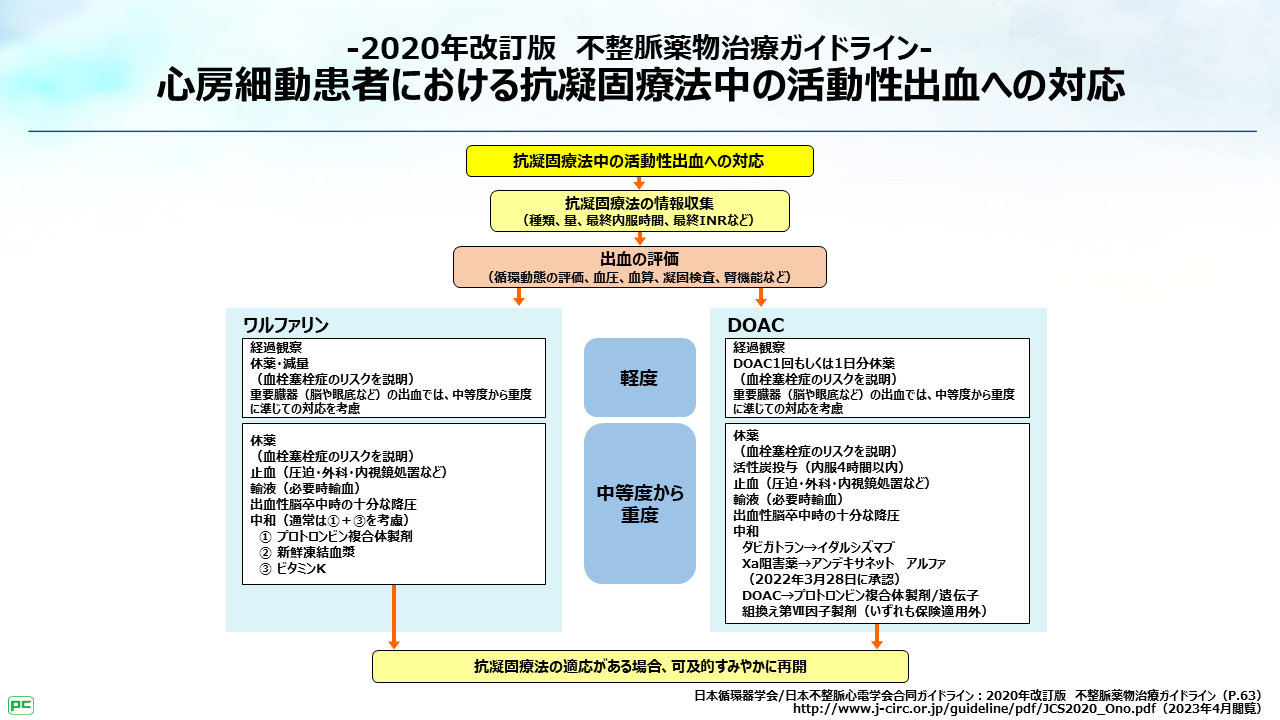 患者像別 最新ガイドラインから考える抗凝固療法 第3回｜べーリンガー