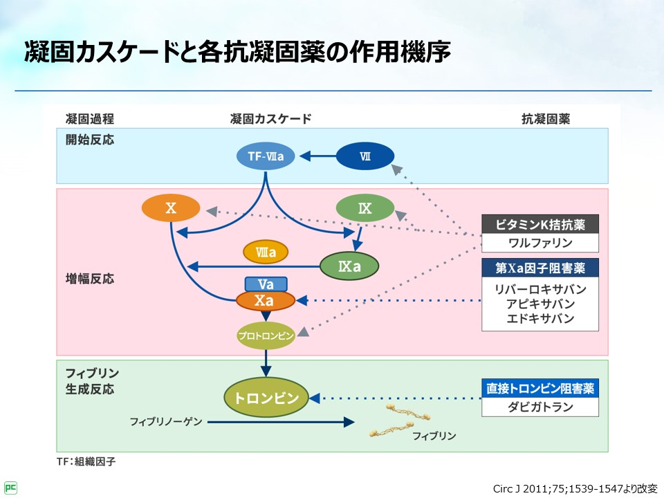 作用機序を踏まえた心房細動における抗凝固療法の選択｜べーリンガープラス