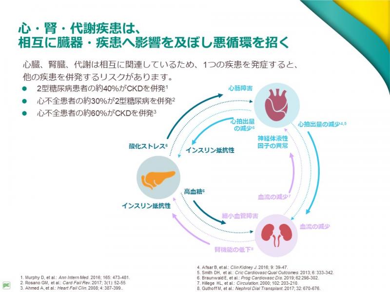 心-腎-代謝連関から糖尿病合併心不全の病態に迫る｜べーリンガープラス