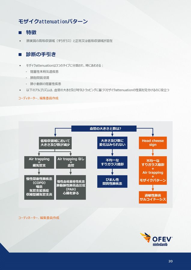 間質性肺疾患画像アトラス胸部HRCT編