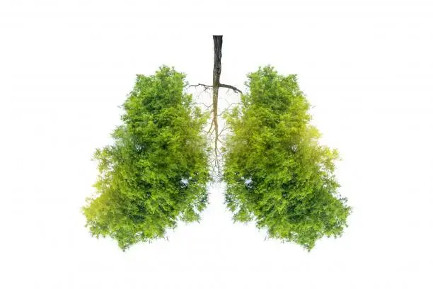 COPD受診勧奨ポスター