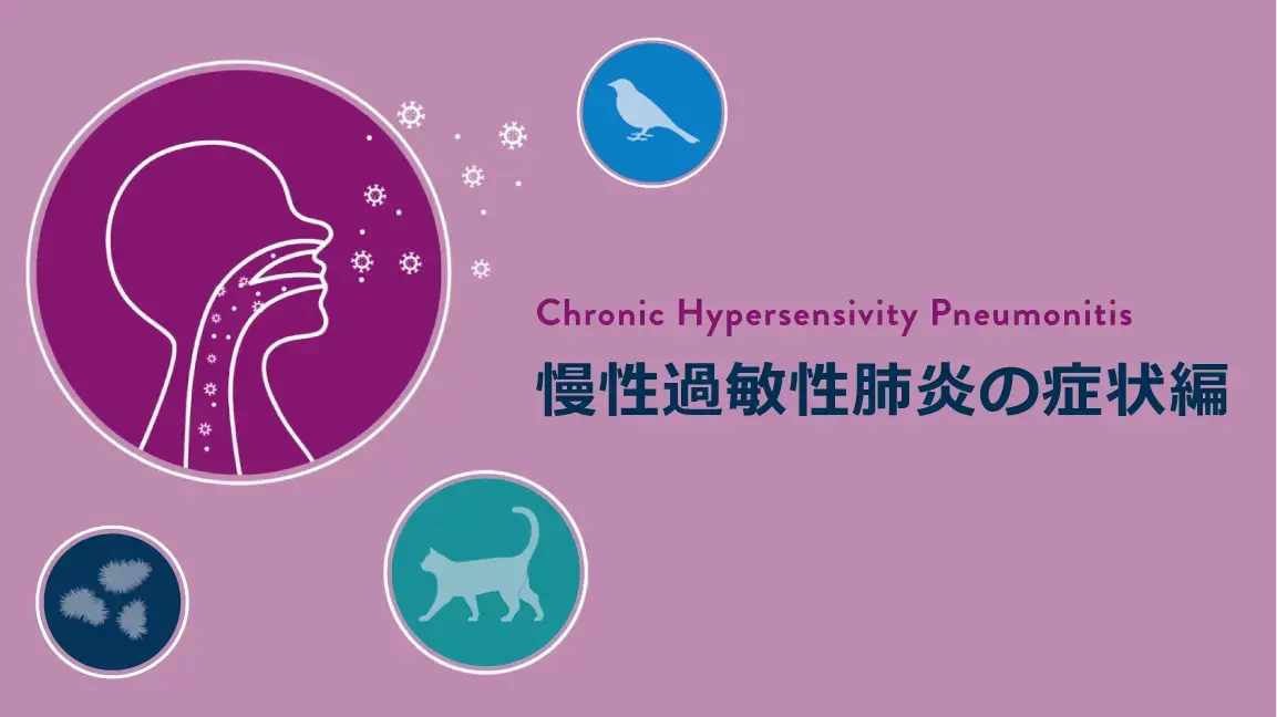 気内臓療法 II 〜風の追撃〜 気内臓療法 II 〜風の追撃〜 Amazon.co.jp: 気内臓療法 II :