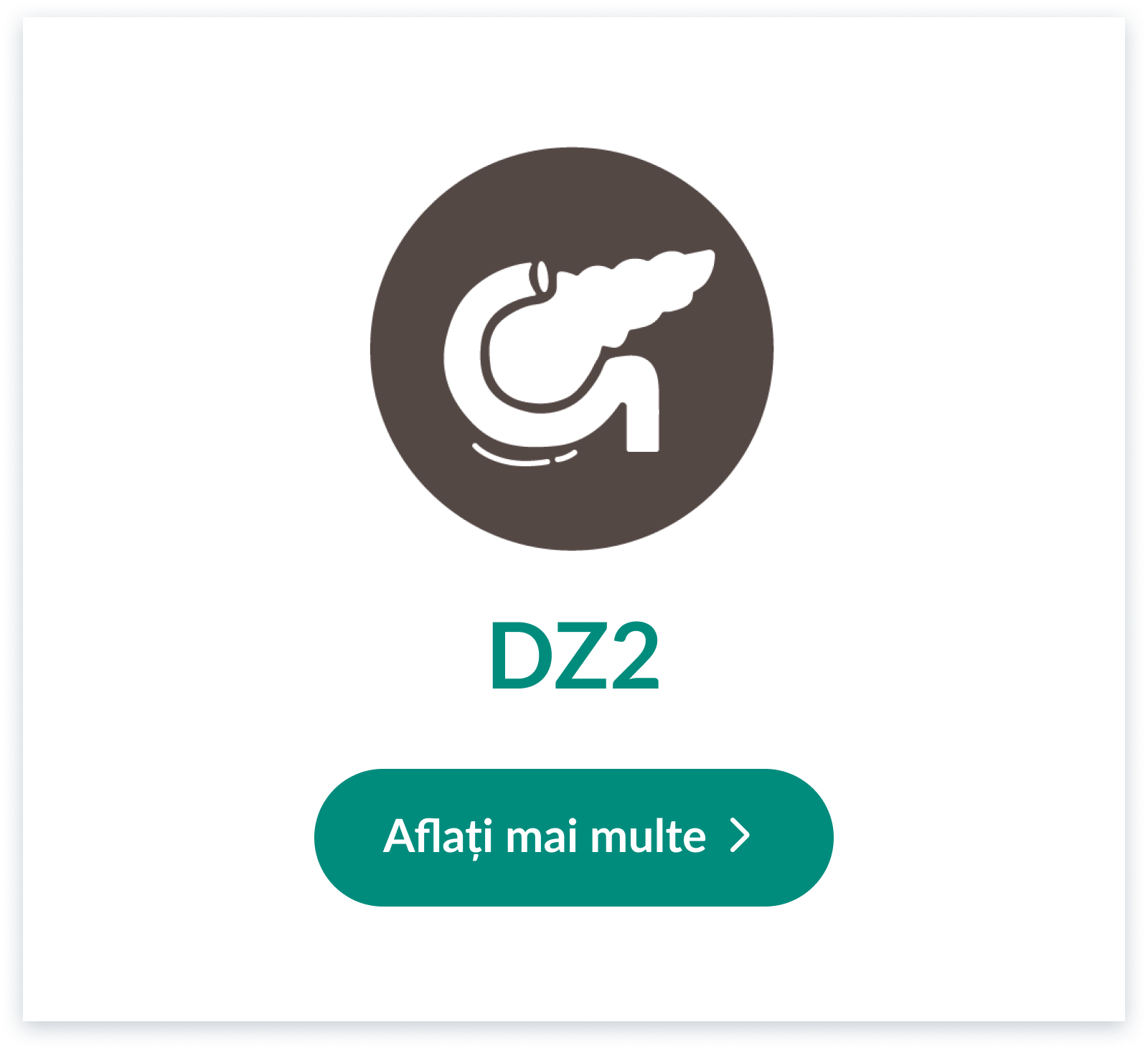 Rom Dz2 Ghidurile in DZ2 | JARDIANCE