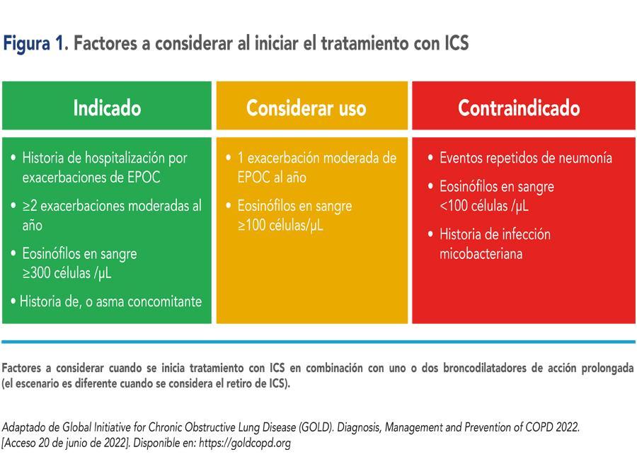 Esteroides inhalados en EPOC: indicaciones, contraindicaciones y ...