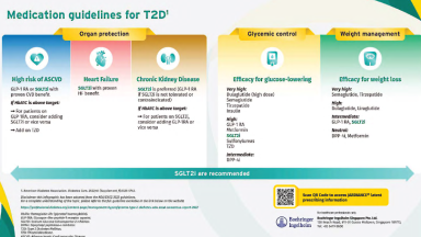 Medication Guideline for T2DM