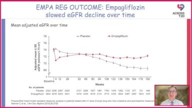 Evolving Evidence in the Role of Empagliflozin in Kidney Diseases