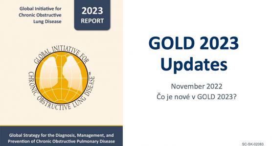 GOLD 2023 Updates