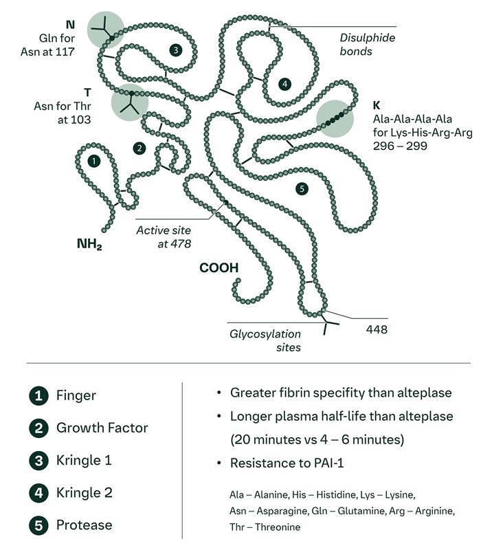 Tenetase Product Information - Tenecteplase | Strokeforum