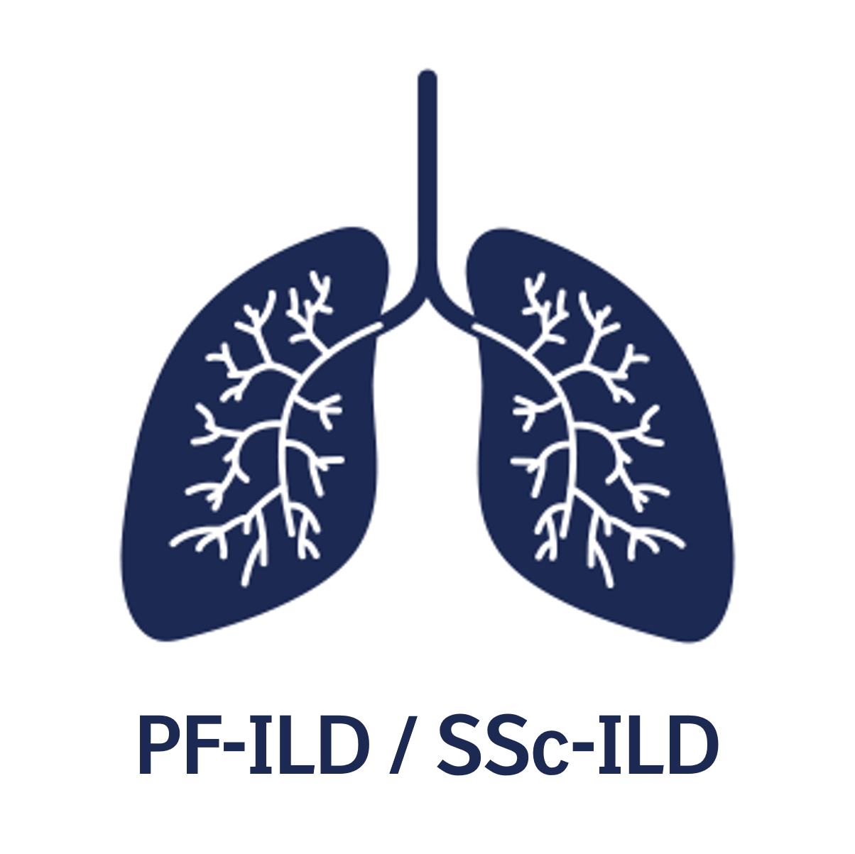2023 Mar_SENSCIS®試驗最新次族群分析結果Update! 延緩SSc-ILD病人肺功能惡化可改善預後