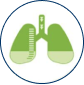 Green icon of a lung in a blue circle