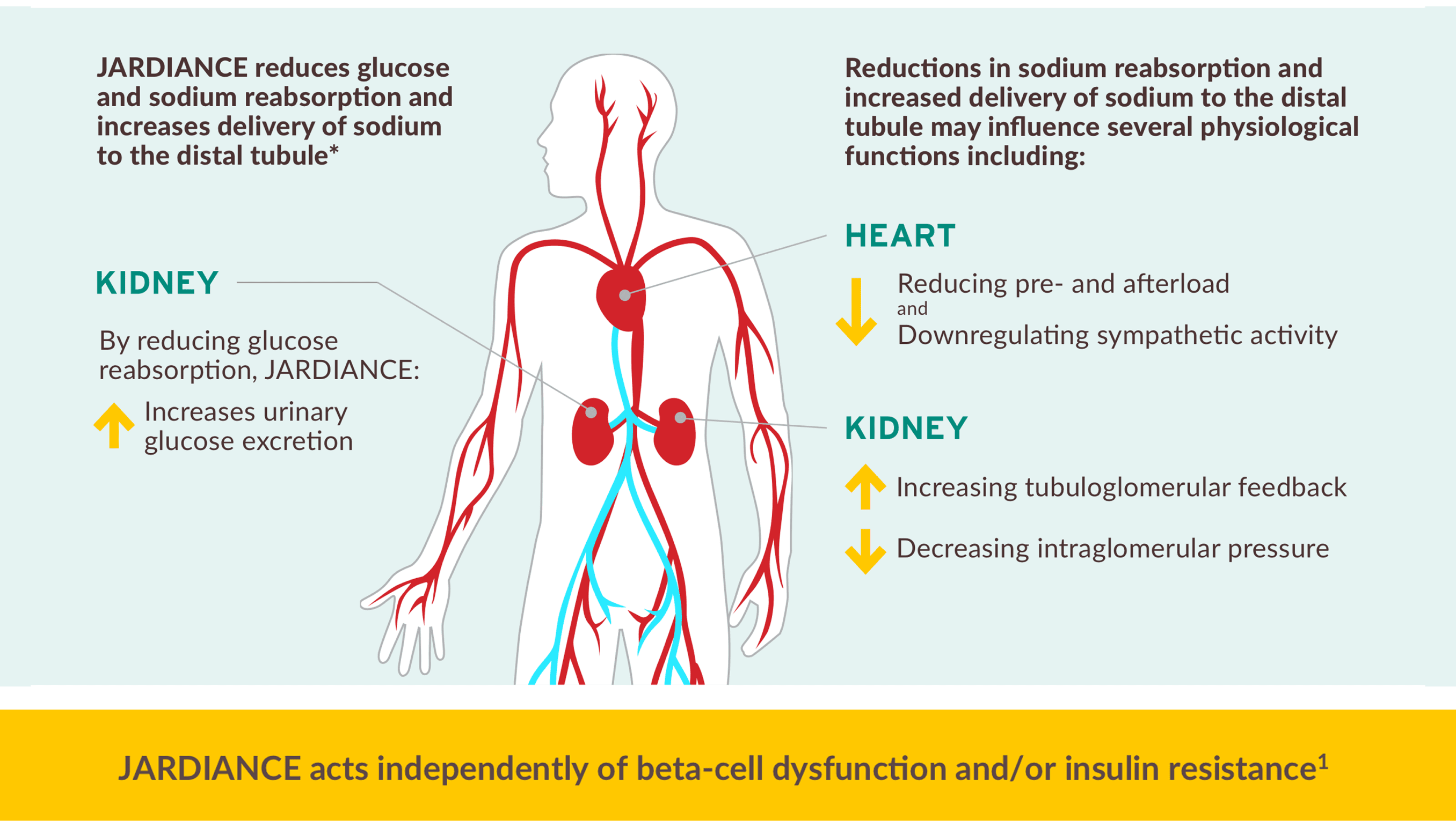does cvs carry glp 1 Your one spot for trusted GLP-1 support — every step of the way. | Pharmacy 18+ years. Tirzepatide Dosing Calculator: How Abdominal discomfort Frequency:3 month supply